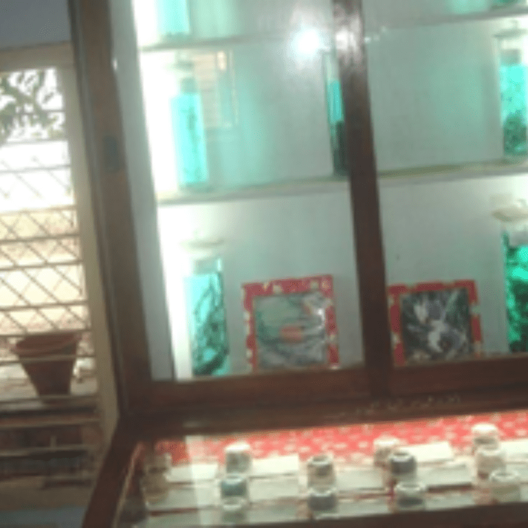 Ayush images (7)